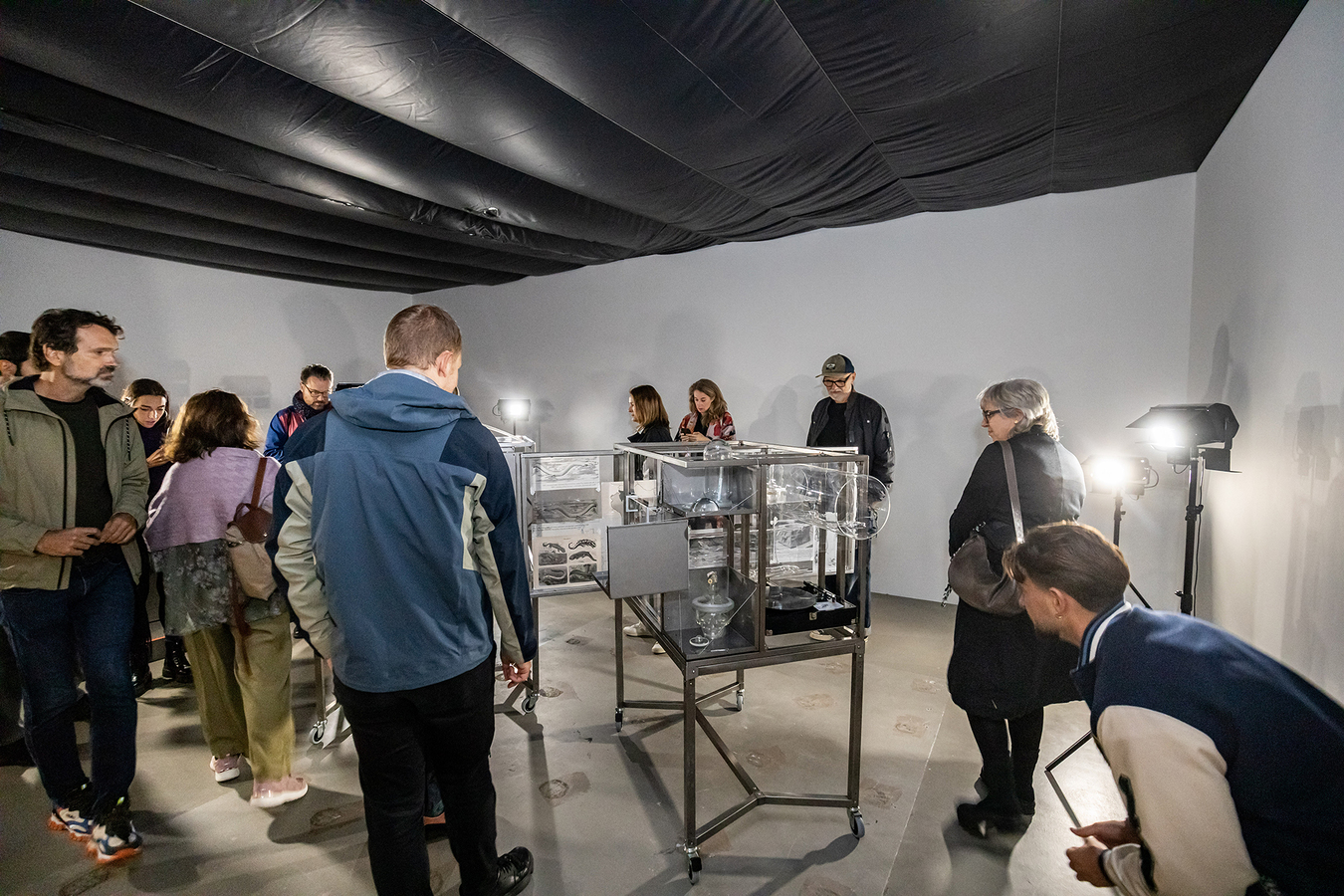 Robertina Šebjanič: Lygophilia @ Kunstgewerbemuseum (12/20)